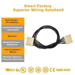 Fiação Eletrônica OEM Ul Jst Molex Hiworld e Chicote de Fiação Canbus para Aplicações de Sinal PLC e Sistemas de Controle Industrial - Product Image 3