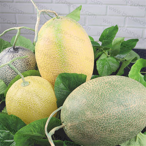 Artesanía de frutas falsas directa de fábrica, resistente al agua, varios modelos de melón falso para decoraciones exóticas, suministros para fiestas con temática de frutas - Product Image 3