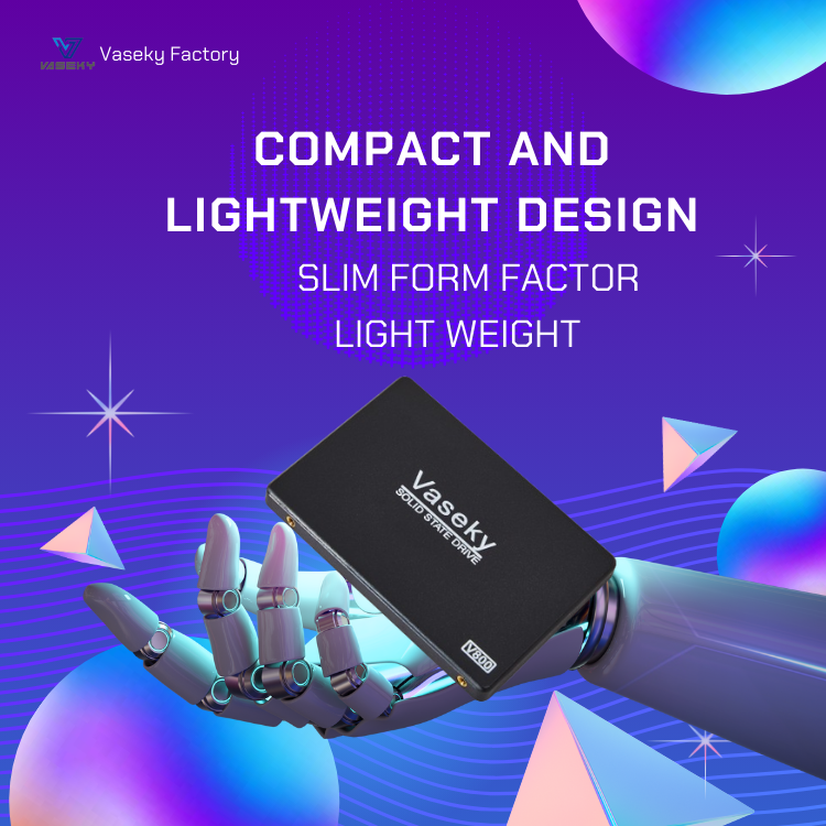 Vaseky V880 SSD - High Performance Internal Hard Drive