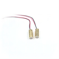 Module laser à lumière bleue 450 nm 80 mW à faible coût pour l'inspection visuelle