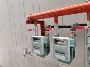 Medidor de Gas Digital Inteligente ZHONGYI con Módulo Nb-IoT, Carcasa Industrial de Aluminio, Diafragma/Fuelle, Modelo G4 - Compatible con Medición Inalámbrica - Product Image 6