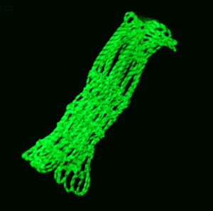 Brillan en la oscuridad luminosa interior al aire libre deporte llanta estándar de reemplazo fluorescente fluoresceína <span class=keywords><strong>Red</strong></span> de <span class=keywords><strong>baloncesto</strong></span> - Product Image 2