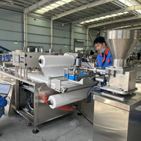 Ligne de production automatique de machines à fabriquer des biscuits Hengyuan pour Kubba Mosul |   2500 pâtisseries/heure, traitement de la farine multi-tension