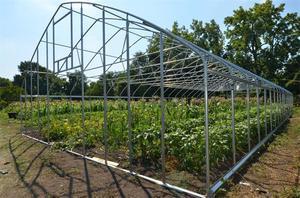 เรือนกระจกฟิล์ม PE ชั้นเดียวขนาด10*30ม. ฝาครอบเหล็กและพลาสติกสำหรับเลี้ยงปลาในสวนและการเกษตร - Product Image 4