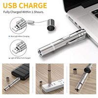 Stylo laser interactif rechargeable USB de haute qualité à lumière rouge pour chat, jouet d'entraînement et de stimulation pour chats