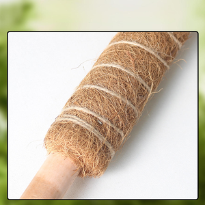 Bâtons <span class=keywords><strong>de</strong></span> coco écologiques pour plantes d'intérieur – Système <span class=keywords><strong>de</strong></span> support naturel pour la culture <span class=keywords><strong>de</strong></span> légumes – Blocs <span class=keywords><strong>de</strong></span> fibres <span class=keywords><strong>de</strong></span> coco – Tailles personnalisables - Product Image 5