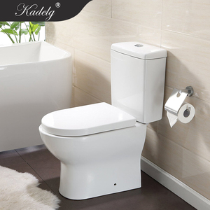 โถสุขภัณฑ์เซรามิกแบบสองชิ้นทรงยาว รุ่น Wels White Washdown แบบ Dual-Flush P-Trap ผลิตตามสั่งจากโรงงาน พร้อมปรับแต่งได้ - Product Image 5