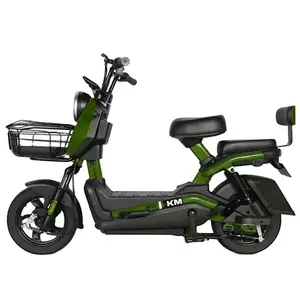 Sepeda listrik kecepatan tinggi dari Cina 1000w motor skuter listrik 48v20ah sepeda listrik daya tinggi motor e