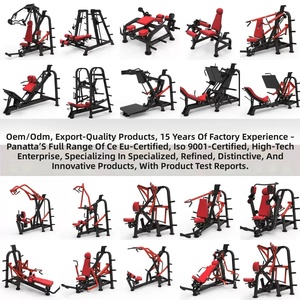 Equipo de Entrenamiento de Fuerza y Resistencia para un Cuerpo Sexy, Equipo de Gimnasio Comercial Personalizado con Logotipo del Cliente, Máquina de Pesas - Product Image 6