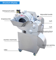 Commerciële Vleesblokje Snijmachine Motor 220V Aardappel Wortel Ui Kiwi Fruit Appel Mango Food Grade Roestvrij Staal