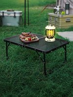 Table de camping pliante portable avec plateau en maille métallique, table de pique-nique légère, bureau pliable pour barbecue, randonnée, voyage, fête en plein air