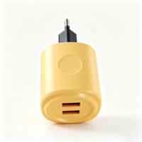 Charger USB-A Dual Port 12W 5V 2A dengan Logo Custom, Colokan EU, Kompatibilitas Luas untuk Pengisian Daya Smartphone dan Perangkat USB