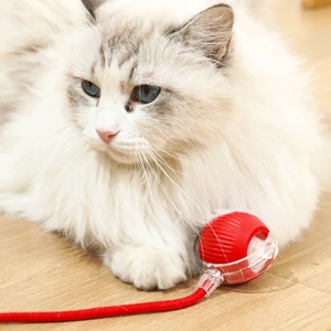 Interaktif kedi top oyuncak otomatik haddeleme topu kuyruk şarj edilebilir akıllı <span class=keywords><strong>Pet</strong></span> için interaktif oyuncak akıllı fare kedi - Product Image 5