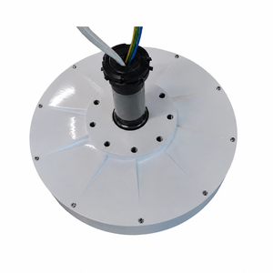 Générateur éolien magnétique Australie 12/24/48V 100W 300W Faible régime 250W - Product Image 3