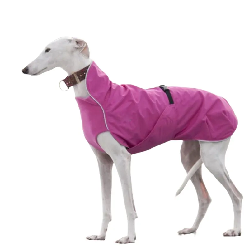Produsen Pakaian Hewan Peliharaan Kain Anjing Jaket Hujan Luar Ruangan Kustom Grosir Pakaian Anjing