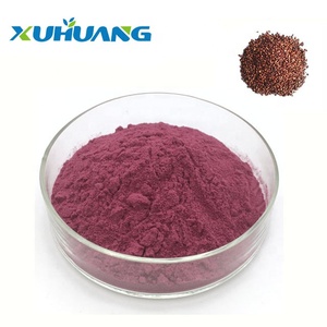 100% tự nhiên chiết xuất hạt nho OPC tinh khiết chiết xuất hạt nho bột bán buôn chiết xuất hạt NHO với mẫu miễn phí - Product Image 2