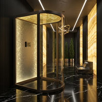 Ascenseur mural en métal brossé sur mesure, cabine d'ascenseur de luxe pour villa, ascenseur domestique, design personnalisé, OEM disponible, décoration