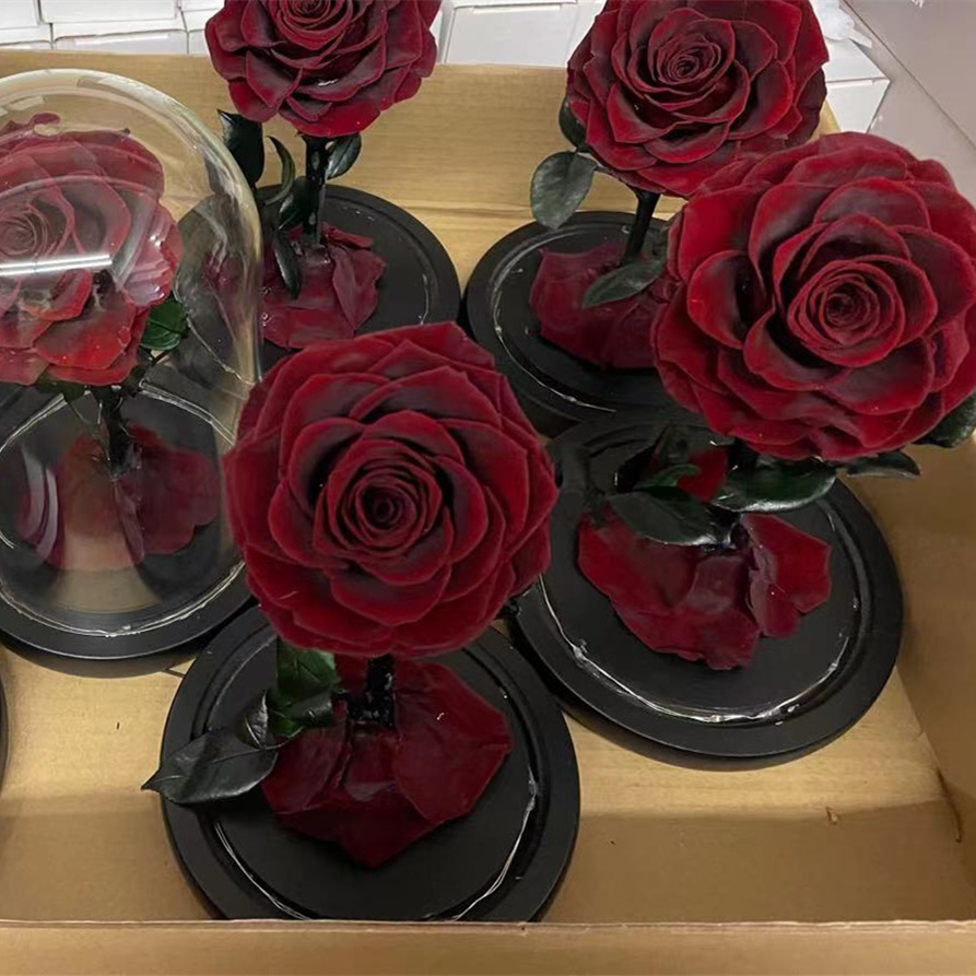 Vin rouge (sans lumière et boîte-cadeau)