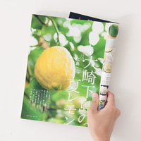 Magazines bon marché imprimés sur mesure de haute qualité en papier couché et artistique avec services d'impression offset