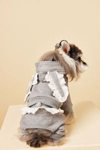 JXANRY graziosa felpa con cappuccio con orsacchiotto quattro piedi autunno e inverno vestiti per animali domestici con felpe in peluche <span class=keywords><strong>Schwab</strong></span> con due False felpe - Product Image 6