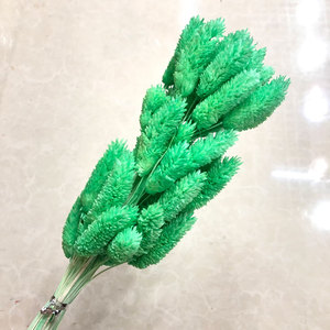Venta al por mayor de alta calidad flor preservada piedras preciosas hierba seca <span class=keywords><strong>Phalaris</strong></span> para decoración del hogar DIY boda - Product Image 2