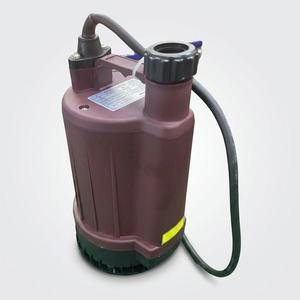 BOMBA DE AGUAS RESIDUALES AUTOMÁTICA SS SAMSON DE 1 PULGADA, 240V, 0.1HP, MONOFÁSICA, DE ALTA CALIDAD PARA HOGARES FAMILIARES, SALIDA DE 25MM - Product Image 1
