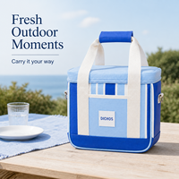 Sac isotherme personnalisé DICHOS Fashion, pochette bento pour le déjeuner, le stockage des aliments, les pique-niques, les voyages, les sorties quotidiennes
