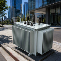 Transformateur de distribution de puissance triphasé immergé dans l'huile Taishun S11 50 kVA 50/60 Hz 6,3 kV 10 kV