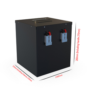 Batería de Fosfato de Hierro y Litio Personalizada de Fábrica Delon de 2.5KWh, 48V 50Ah, la Batería Más Vendida para el Triciclo Eléctrico DL-5150 - Product Image 4