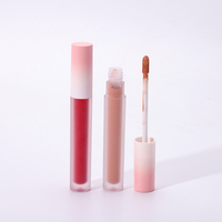 Vente en Gros Sans Logo Rouge À Lèvres Liquide Mat Vegan Étanche Private Label Luxe Brillant Shimmer Lip Gloss Base DIY Brillant À Lèvres Pas Cher