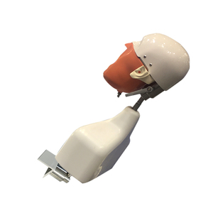 Modelo de Educación Dental: Maniquíes de Cabeza y Torso para Práctica y Entrenamiento Odontológico - Product Image 4