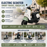 Scooter Eléctrico de Dos Ruedas con Batería de Plomo-Ácido, 350W 48V, Largo Alcance, Motocicleta Eléctrica Económica, Bicicleta Eléctrica Urbana