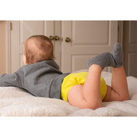 Ananbaby Wasserdichte, verstellbare Stoffwindeln mit neuem Design-Print, wiederverwendbar, waschbar, umweltfreundlich, personalisierbar, hochwertig für Babys