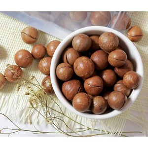 Noix Snack Noix de macadamia grillées salées avec coque OEM/ODM Saveur Snack croustillant Emballage personnalisé pour exportation en vrac du Vietnam - Product Image 1