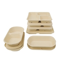 Boîte à lunch écologique en fibre de canne à sucre biodégradable, contenant alimentaire en bagasse de canne à sucre