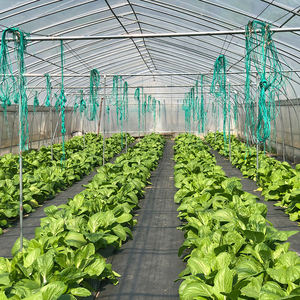 Ape da giardino 3 anni senza inquinamento ad alto rendimento Film per serra pellicola di conversione della luce agricola in plastica, pellicola per serra - Product Image 5