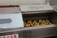 Industriële Borstelroller Pelmachine Efficiënte Plantaardige Wortelaardappelschilmachine Fruit & Groente Schilmachine