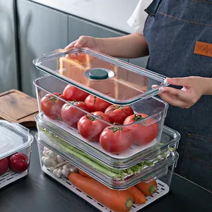 Bpa Free Clear Plastic 2 Layers Refrigerator Storage Organizer For With Lid