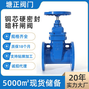 วาล์วประตูทองเหลืองแบบมีหน้าแปลน รุ่น Tang Zheng Z45T-16Q แกนทองแดง บุเหล็กหล่อ แบบประตูเดียว ใช้สำหรับน้ำและน้ำมัน - Product Image 3