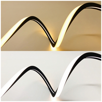 Lumière d'ambiance pour sauna, néon LED en silicone noir 20*18mm 24V IP68, lumière douce sans taches 3000K, étanche, pour cinéma, SPA, éclairage LED en corde