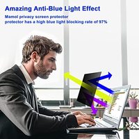 17 pouces Anti-peep Anti-éblouissement ordinateur portable filtre de confidentialité Protection contre la lumière bleue protecteur d'écran