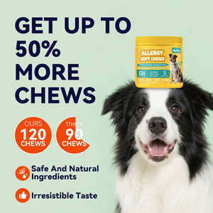 OEM Soulagement des allergies chez le <span class=keywords><strong>chien</strong></span> Doux à mâcher Démangeaisons Soutien de la <span class=keywords><strong>peau</strong></span> Anti-démangeaisons Supplément pour la <span class=keywords><strong>peau</strong></span> et le pelage avec probiotiques Colostrum Quercétine - Product Image 4