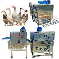 Machine à plumes de poulet Machine à enlever les plumes de volaille Ligne de production de poulet Machine à échauder la volaille