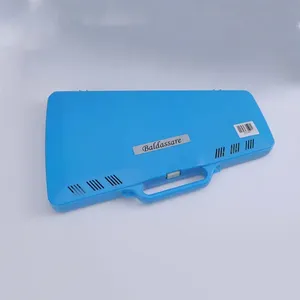 <span class=keywords><strong>Xylophone</strong></span> 25 notes <span class=keywords><strong>chromatique</strong></span> coloré en étui bleu, jouet pour enfants, métallophone - Vente chaude - Product Image 4