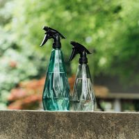 Pulvérisateur domestique 3L Balcon Jardinage Bouilloire d'arrosage pour la désinfection de l'eau