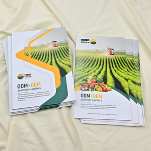 הדפסת קטלוגים דיגיטליים בצבע מלא, פליירים פרסומיים בהתאמה אישית וחוברות - Product Image 2