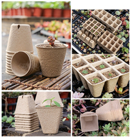 DD3168 Pots de départ de graines de tourbe carrées biodégradables avec trous de drainage Plateaux de germination de plantes de pépinière