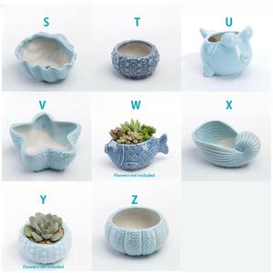 Maceta de Cerámica Esmaltada con Diseño de Ballena, Estrella de Mar y Concha, Adorno Marino <span class=keywords><strong>para</strong></span> Jardín, Hogar, Guardería, Maceta Pequeña Colgante <span class=keywords><strong>para</strong></span> Plantas Suculentas - Product Image 4