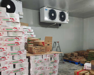 Fabrika fiyat mobil soğuk oda ve gıda soğuk oda depolama için dondurucu çözümleri yürümek - Product Image 6