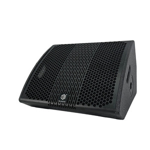 Altavoces de Monitorización Profesionales <span class=keywords><strong>TB</strong></span> MA-12 de 12 Pulgadas, Carcasa de Madera y Cuerpo Metálico, 450W, Personalizados para Actuaciones en Vivo - Product Image 5